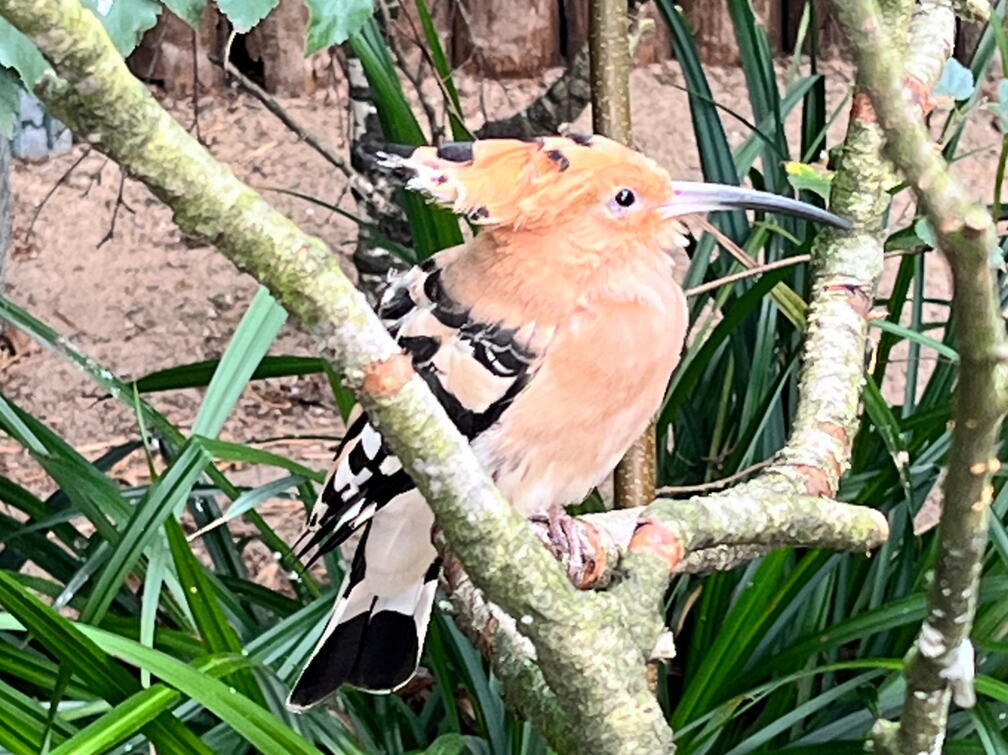 23-09-22 12-00-19 7249